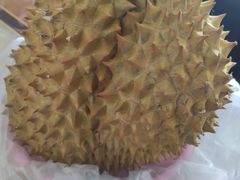 -鲜力达果品批发直销(青山店)
