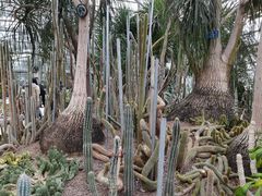 -南山植物园