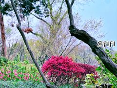 -无锡梅园公园