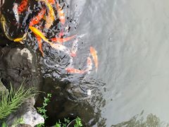 -杭州西湖柳莺里酒店