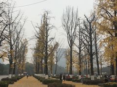 -两江幸福广场