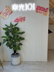 -章光101防脱养发荟