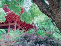 -城隍阁