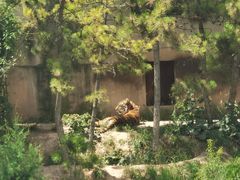 -青藏高原野生动物园