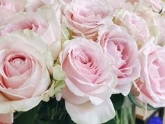 -爱尚幸福鲜花(上地实体店)