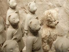 android_upload_pic-济州岛泰迪熊博物馆