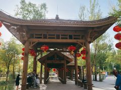 -金塔沙漠胡杨林景区
