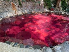-湖泉半山温泉