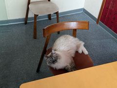 -剧狐剧本杀·月球探案馆(人民广场1号店)