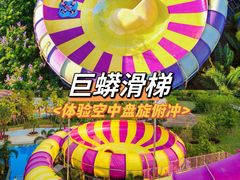 -美的鹭湖探索王国