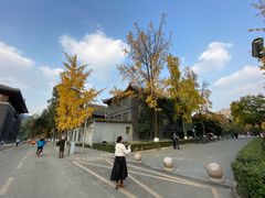 -四川大学(华西校区)