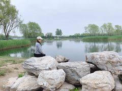 -大兴滨河森林公园