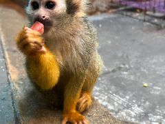 -泉城欧乐堡海洋极地世界