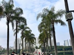 -南宁南湖公园