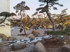 -罗红摄影艺术馆