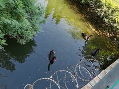 -长白岛森林公园