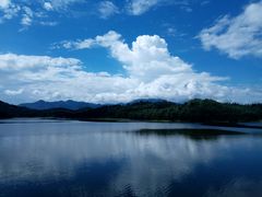 -水库河鲜村