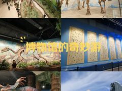-辽宁古生物博物馆