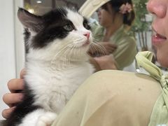-共舞时光猫咖·狗咖(新街口店)