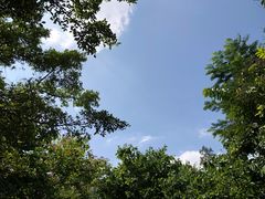 -水濂山森林公园