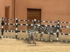 -祥源·阜阳生态乐园
