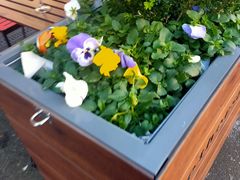 -明洞阿姨·韩式酱蟹烤肉·创意料理(方庄店)