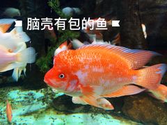 -泉城欧乐堡海洋极地世界