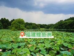 -福建鲤鱼洲酒店