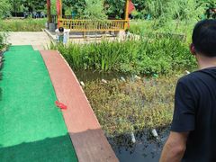 -同銮特种养殖场·龙虾垂钓