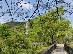 -阿哈湖国家湿地公园