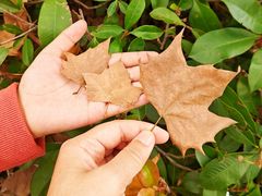 -白鹭湾湿地公园