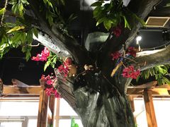 -草原塞蛮羊火锅城(港湾店)