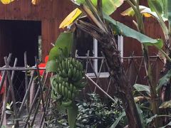 -北海金海湾红树林生态旅游区