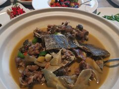 炖甲鱼-赣府酒家(广报中心店)