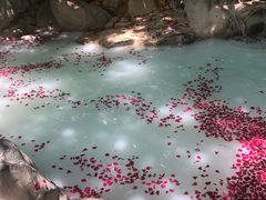 -湖泉半山温泉