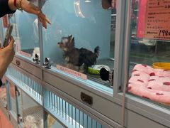 -FAELING PETS美天灵宠物(合生汇店)