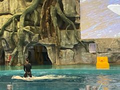 -威海华夏城景区