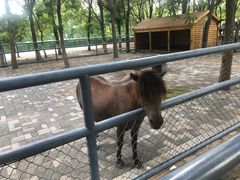 -长白岛森林公园