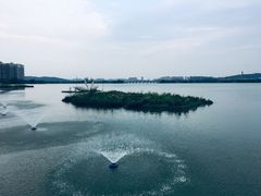 -陈大锅·岳阳鱼馆·地道岳阳菜(美食街店)