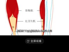 -裕和堂中医推拿艾灸(太古汇臻品店)