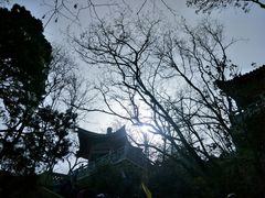 -《12·12》西安事变大型实景演出