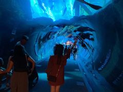 -迪拜水族馆及水下动物园