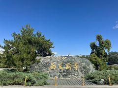 -张掖大佛寺景区