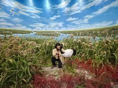 -盐城丹顶鹤湿地生态旅游区