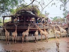 -长鹿旅游休博园