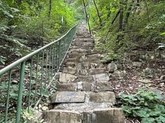 -老象峰