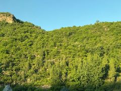 -环翠峪风景区