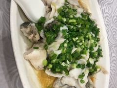 香葱淋鲈鱼-粤·向群饭店(龙津东路总店)