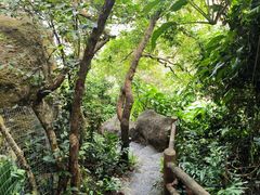 -海南文笔峰盘古文化旅游区