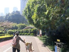 -龙头寺公园